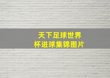 天下足球世界杯进球集锦图片