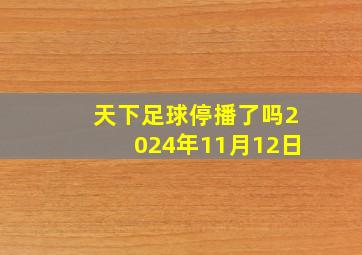 天下足球停播了吗2024年11月12日