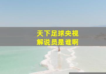 天下足球央视解说员是谁啊