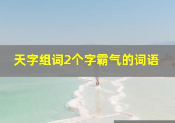 天字组词2个字霸气的词语