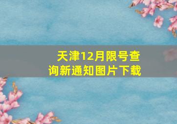 天津12月限号查询新通知图片下载