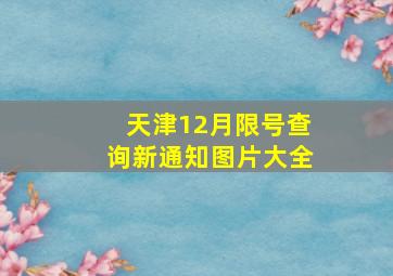 天津12月限号查询新通知图片大全