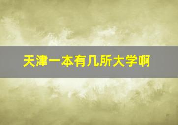 天津一本有几所大学啊