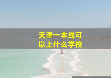 天津一本线可以上什么学校