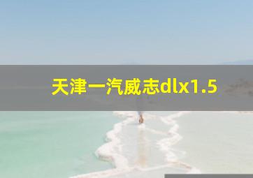 天津一汽威志dlx1.5