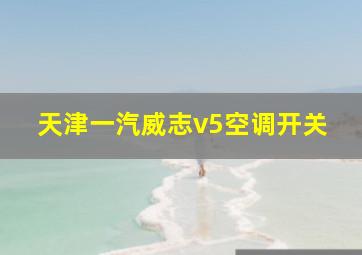 天津一汽威志v5空调开关