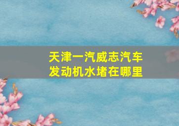 天津一汽威志汽车发动机水堵在哪里