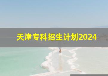 天津专科招生计划2024