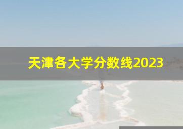 天津各大学分数线2023