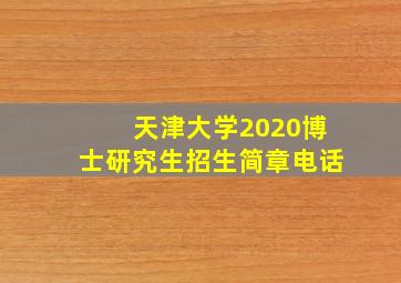 天津大学2020博士研究生招生简章电话