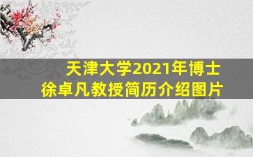 天津大学2021年博士徐卓凡教授简历介绍图片