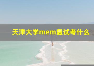 天津大学mem复试考什么