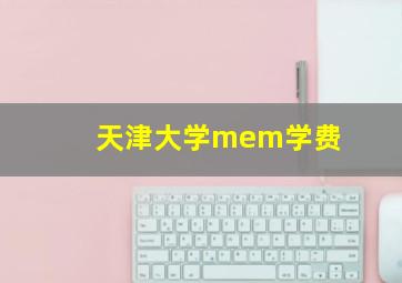 天津大学mem学费