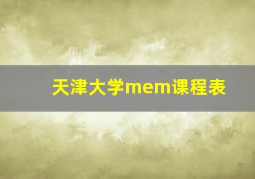 天津大学mem课程表