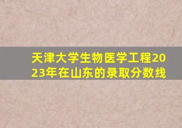 天津大学生物医学工程2023年在山东的录取分数线