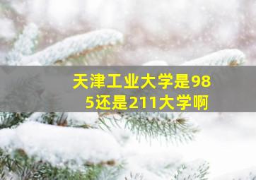 天津工业大学是985还是211大学啊