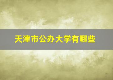 天津市公办大学有哪些