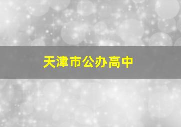 天津市公办高中