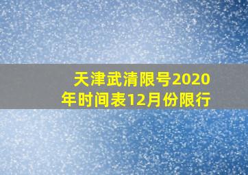 天津武清限号2020年时间表12月份限行