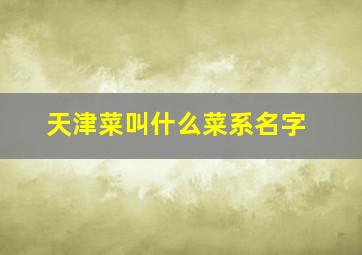 天津菜叫什么菜系名字