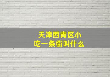 天津西青区小吃一条街叫什么