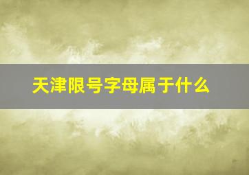 天津限号字母属于什么