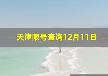 天津限号查询12月11日