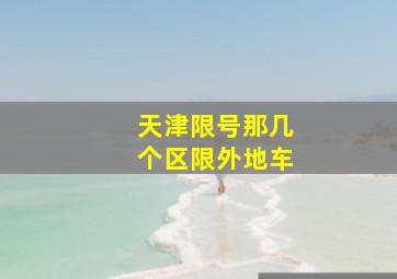 天津限号那几个区限外地车