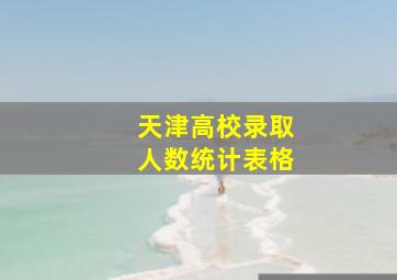 天津高校录取人数统计表格