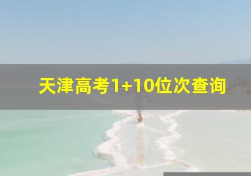 天津高考1+10位次查询