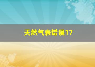 天然气表错误17