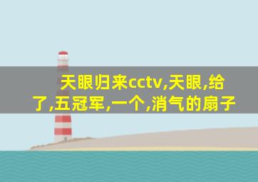 天眼归来cctv,天眼,给了,五冠军,一个,消气的扇子