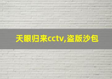 天眼归来cctv,盗版沙包