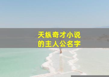 天纵奇才小说的主人公名字