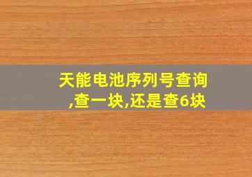 天能电池序列号查询,查一块,还是查6块