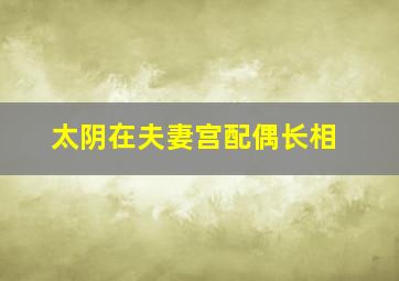 太阴在夫妻宫配偶长相