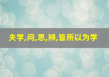 夫学,问,思,辨,皆所以为学