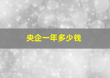 央企一年多少钱