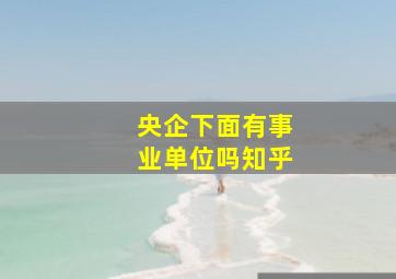 央企下面有事业单位吗知乎