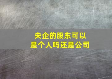 央企的股东可以是个人吗还是公司