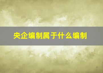 央企编制属于什么编制