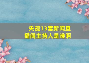 央视13套新闻直播间主持人是谁啊