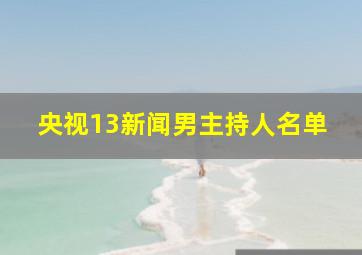 央视13新闻男主持人名单