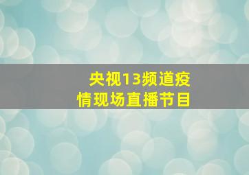 央视13频道疫情现场直播节目