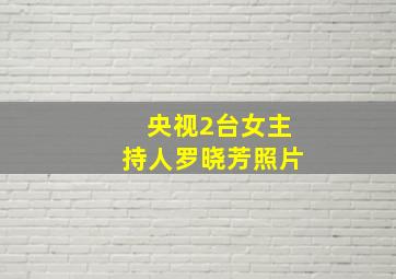 央视2台女主持人罗晓芳照片