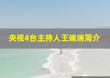 央视4台主持人王端端简介