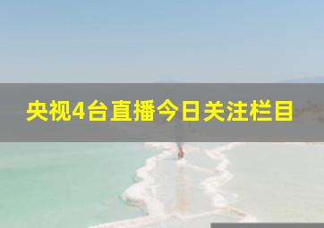 央视4台直播今日关注栏目