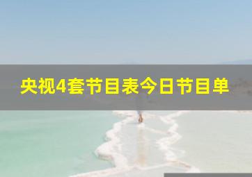 央视4套节目表今日节目单