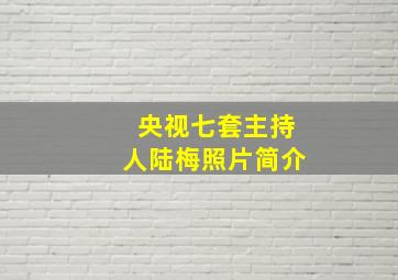 央视七套主持人陆梅照片简介