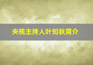 央视主持人叶知秋简介